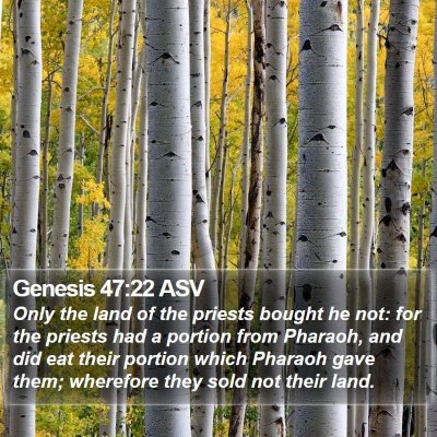 Genesis 47:22 ASV Bible Verse Image