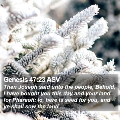 Genesis 47:23 ASV Bible Verse Image