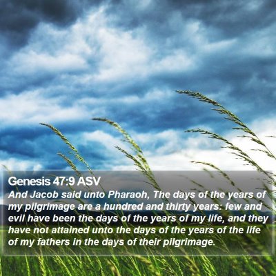 Genesis 47:9 ASV Bible Verse Image