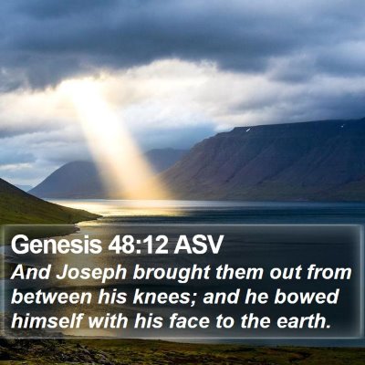 Genesis 48:12 ASV Bible Verse Image