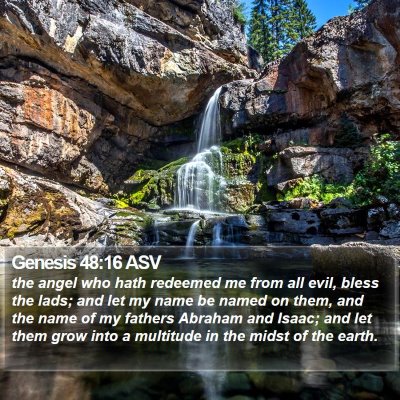 Genesis 48:16 ASV Bible Verse Image