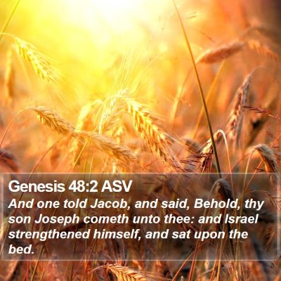 Genesis 48:2 ASV Bible Verse Image