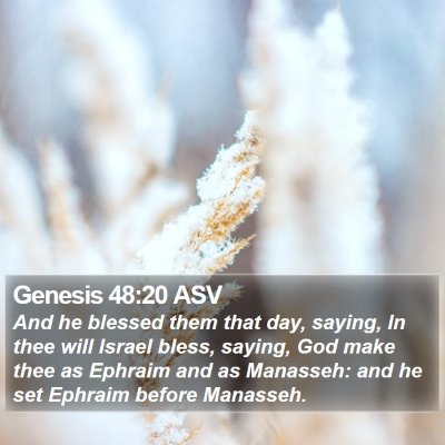 Genesis 48:20 ASV Bible Verse Image