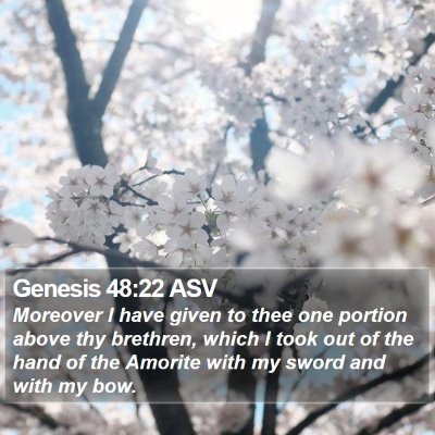 Genesis 48:22 ASV Bible Verse Image