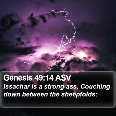 Genesis 49:14 ASV Bible Verse Image