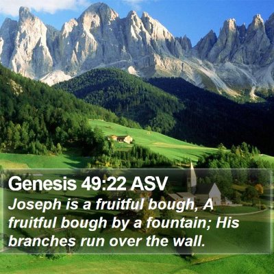 Genesis 49:22 ASV Bible Verse Image