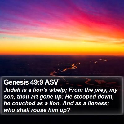 Genesis 49:9 ASV Bible Verse Image