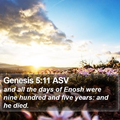 Genesis 5:11 ASV Bible Verse Image