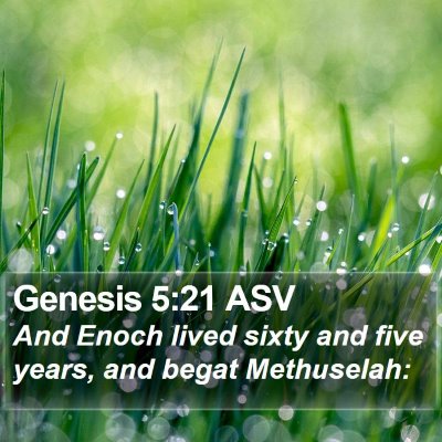 Genesis 5:21 ASV Bible Verse Image