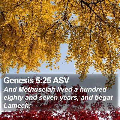 Genesis 5:25 ASV Bible Verse Image