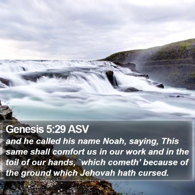 Genesis 5:29 ASV Bible Verse Image