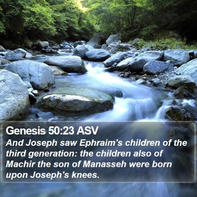 Genesis 50:23 ASV Bible Verse Image