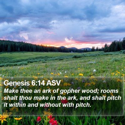 Genesis 6:14 ASV Bible Verse Image