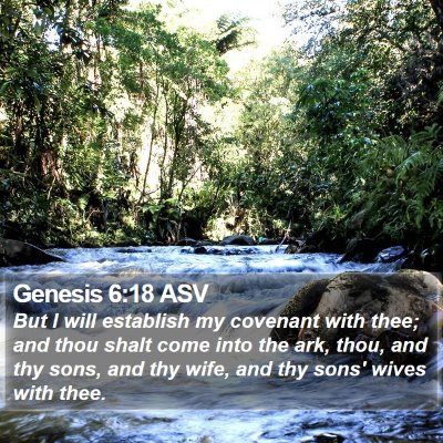 Genesis 6:18 ASV Bible Verse Image