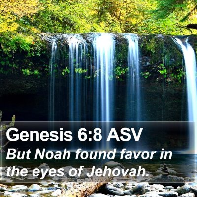 Genesis 6:8 ASV Bible Verse Image
