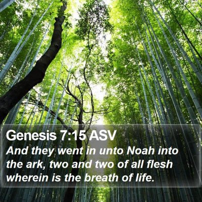 Genesis 7:15 ASV Bible Verse Image