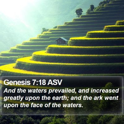 Genesis 7:18 ASV Bible Verse Image