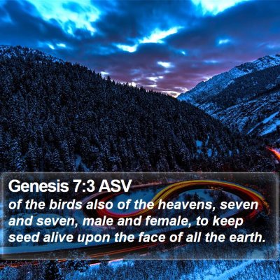 Genesis 7:3 ASV Bible Verse Image