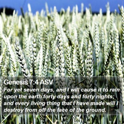 Genesis 7:4 ASV Bible Verse Image