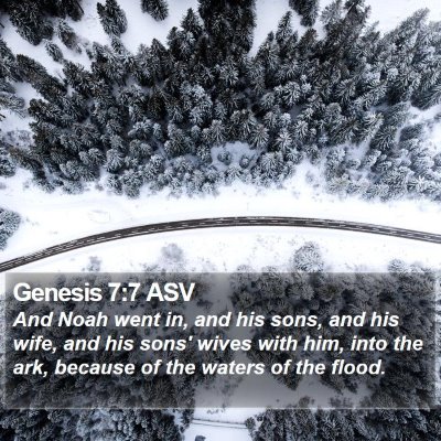 Genesis 7:7 ASV Bible Verse Image