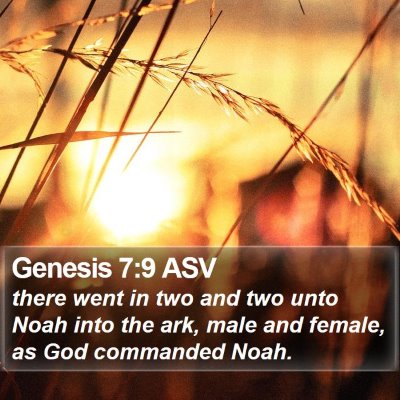 Genesis 7:9 ASV Bible Verse Image
