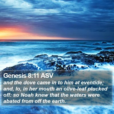 Genesis 8:11 ASV Bible Verse Image