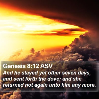 Genesis 8:12 ASV Bible Verse Image