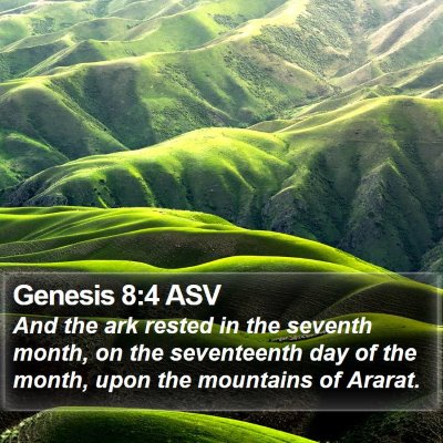 Genesis 8:4 ASV Bible Verse Image
