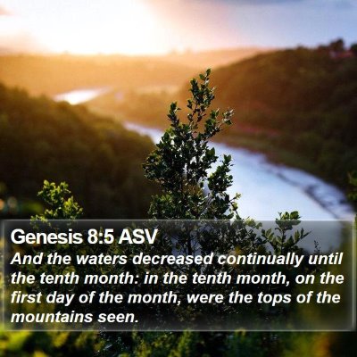 Genesis 8:5 ASV Bible Verse Image