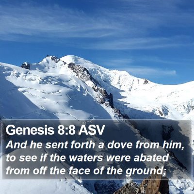 Genesis 8:8 ASV Bible Verse Image