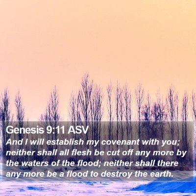 Genesis 9:11 ASV Bible Verse Image