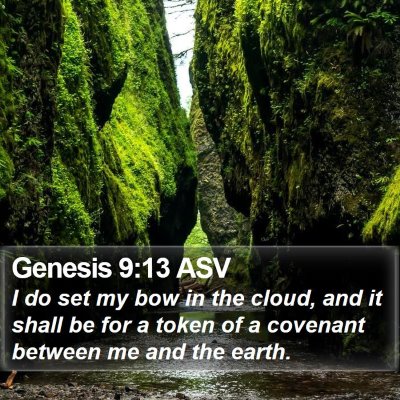 Genesis 9:13 ASV Bible Verse Image
