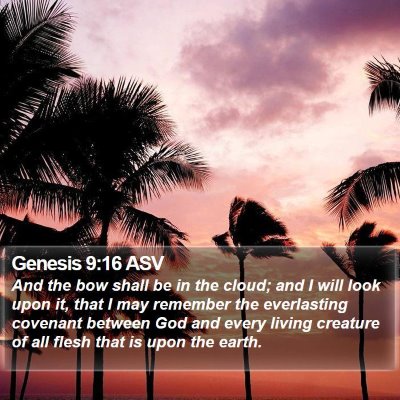 Genesis 9:16 ASV Bible Verse Image