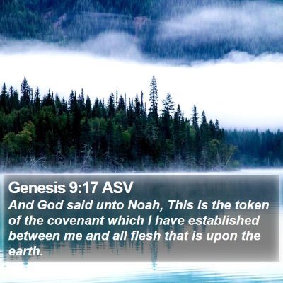 Genesis 9:17 ASV Bible Verse Image