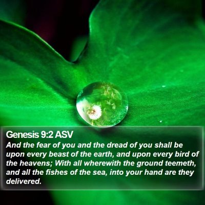 Genesis 9:2 ASV Bible Verse Image