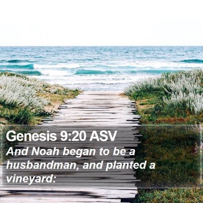 Genesis 9:20 ASV Bible Verse Image