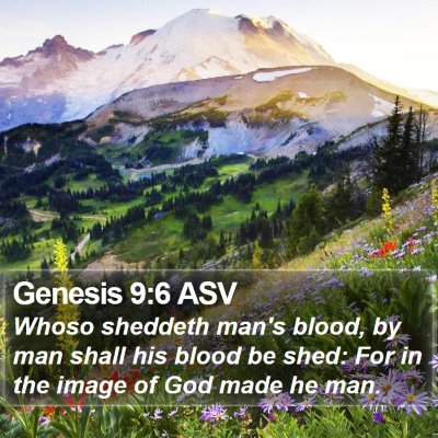 Genesis 9:6 ASV Bible Verse Image