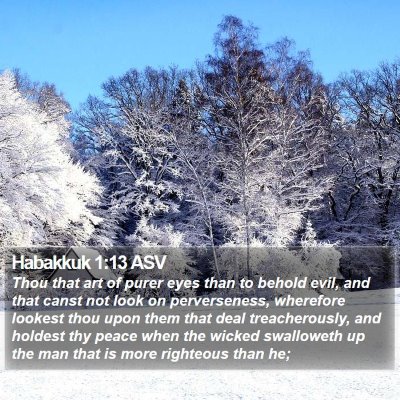 Habakkuk 1:13 ASV Bible Verse Image