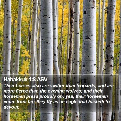 Habakkuk 1:8 ASV Bible Verse Image