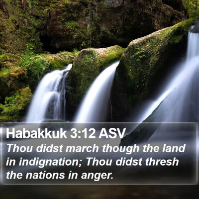Habakkuk 3:12 ASV Bible Verse Image