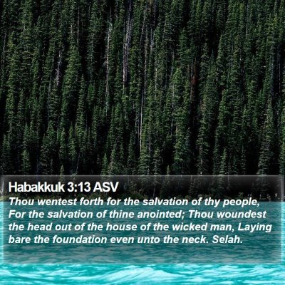 Habakkuk 3:13 ASV Bible Verse Image
