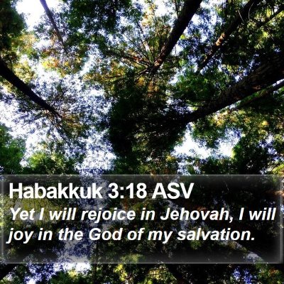 Habakkuk 3:18 ASV Bible Verse Image