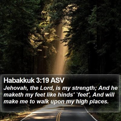 Habakkuk 3:19 ASV Bible Verse Image