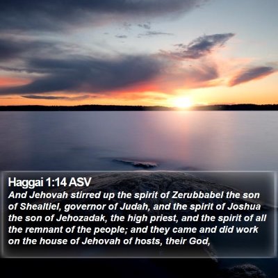Haggai 1:14 ASV Bible Verse Image