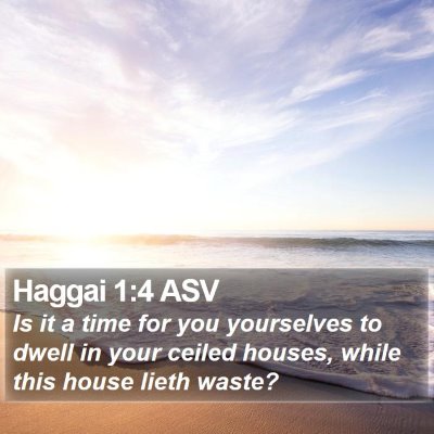Haggai 1:4 ASV Bible Verse Image