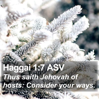 Haggai 1:7 ASV Bible Verse Image