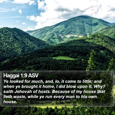 Haggai 1:9 ASV Bible Verse Image