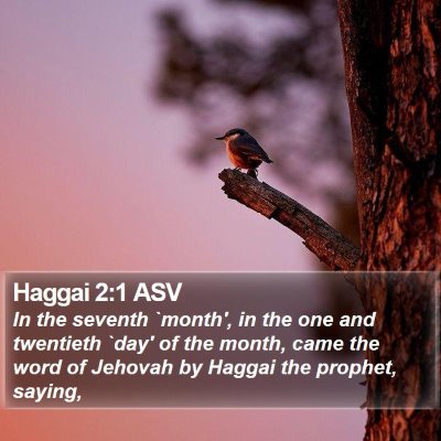Haggai 2:1 ASV Bible Verse Image