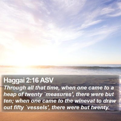 Haggai 2:16 ASV Bible Verse Image