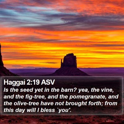 Haggai 2:19 ASV Bible Verse Image
